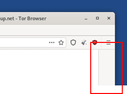 tor browser блокируется мега